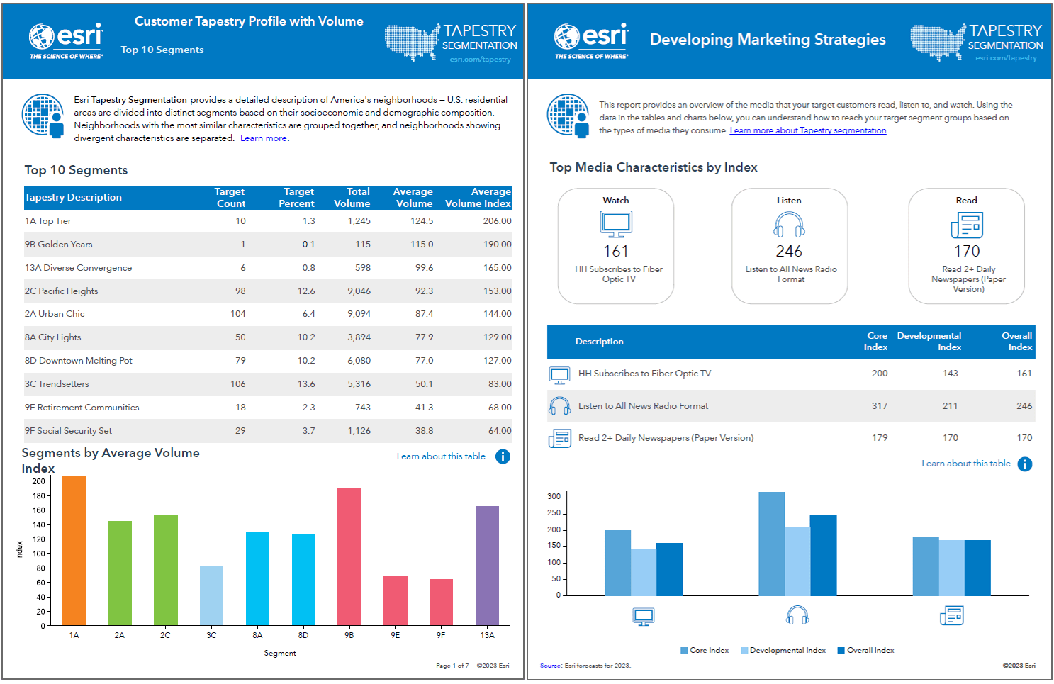 A screen capture of two of the Target Marketing reports: the Customer Tapestry Profile with Volume and Developing Market Strategies reports.