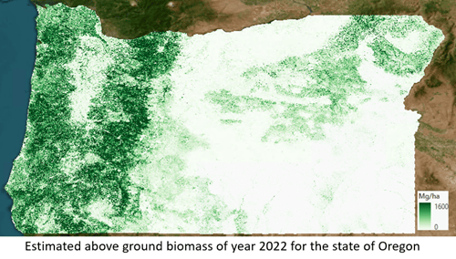 aboveground biomass result