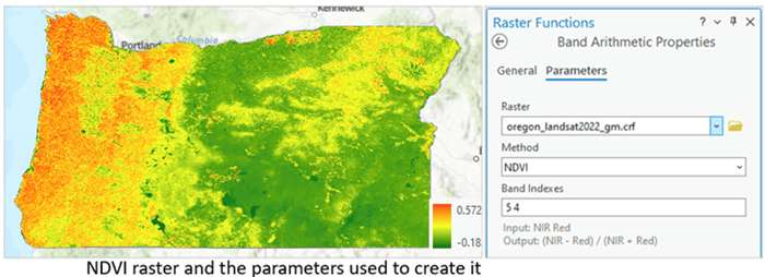 NDVI image