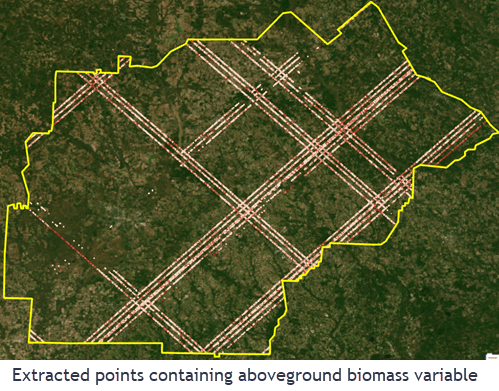 Biomass point data