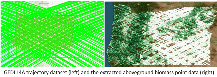 GEDI dataset GEDI dataset