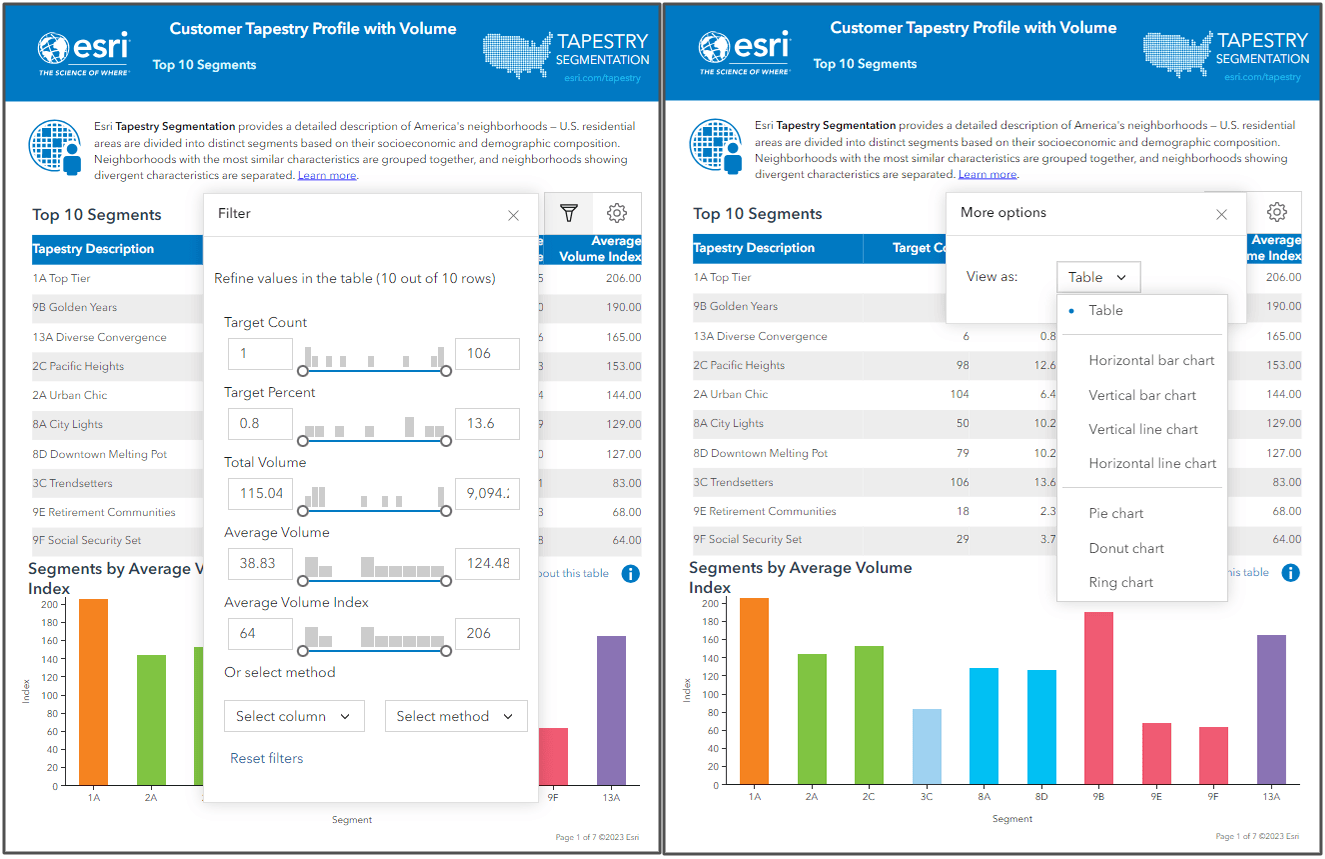 The filtering and settings options shown on the Customer Tapestry Profile with Volume report.