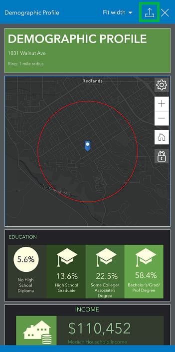 Demographic Profile infographic run