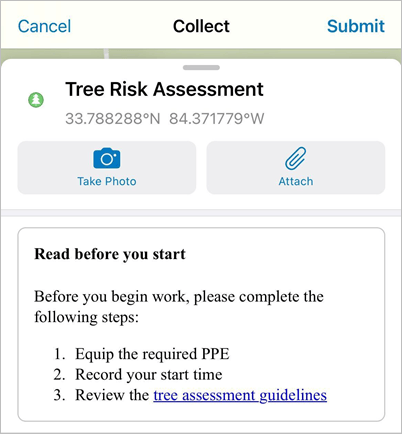 Info element on a tree assessment form