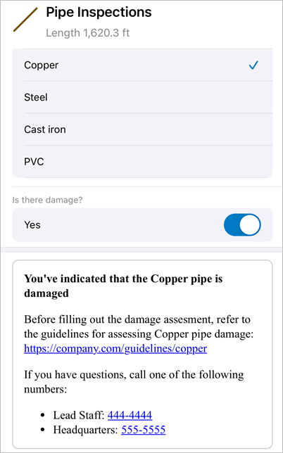 Info element on a pipe inspection form