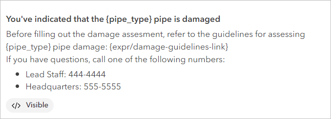 Preview of pipe damage info element