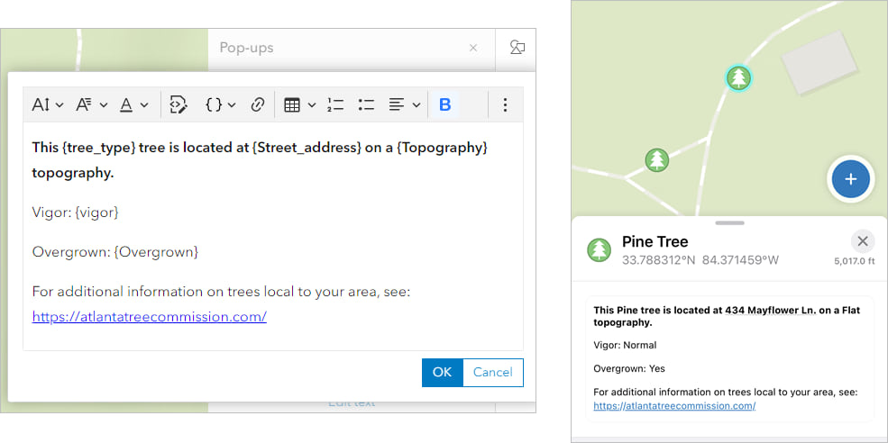 Text pop-up element in Map Viewer and Field Maps