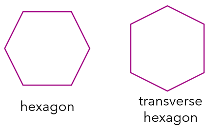 Diagram of hexagon and transverse hexagon