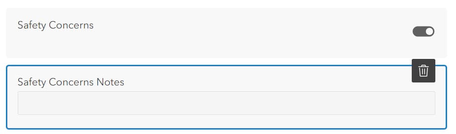 Safety Concerns fields from form