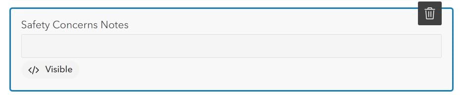 Safety concerns notes field with visible label