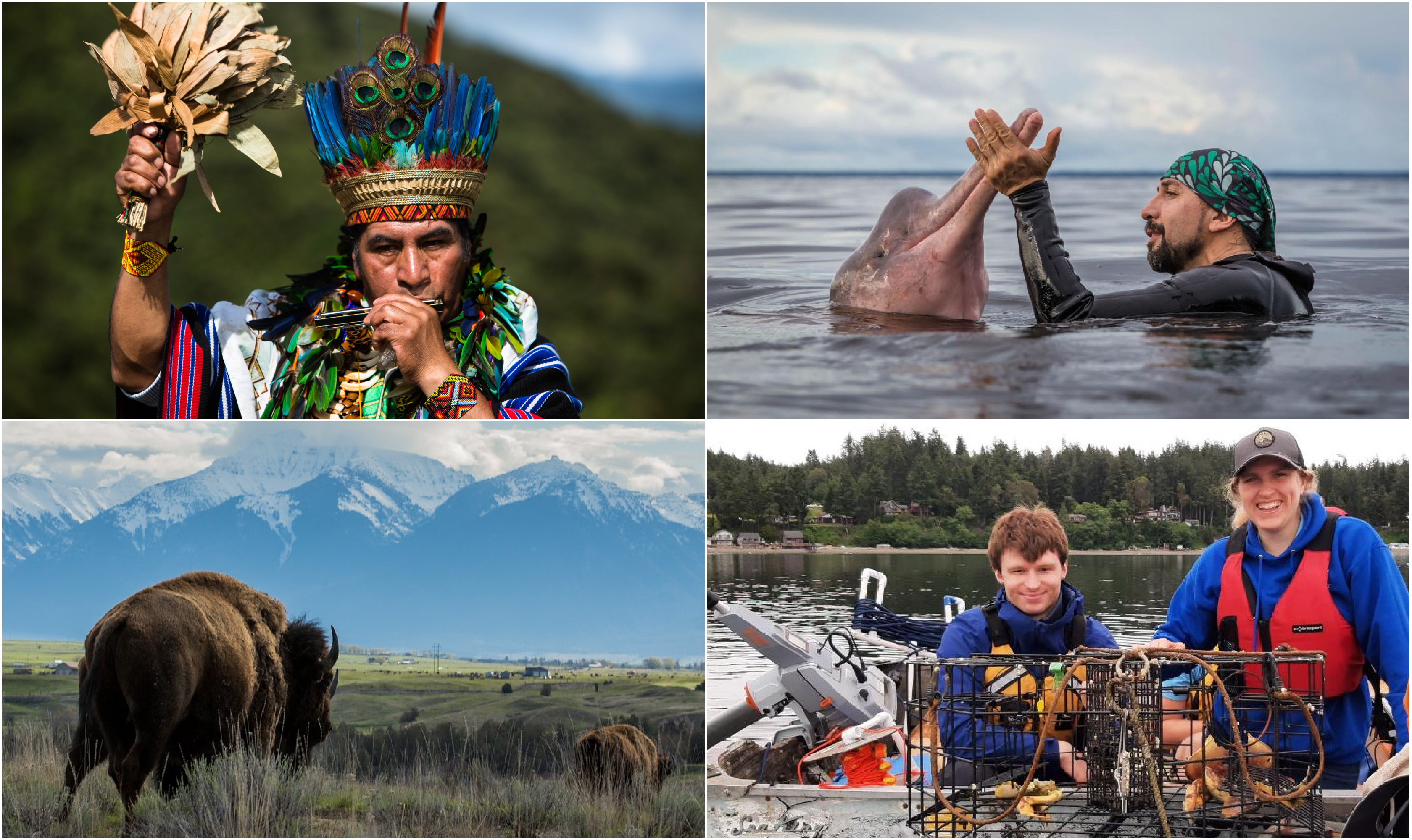 Four photos from the winning competition stories