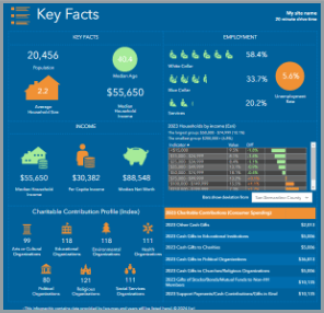 Modified Key Facts infographic for a non-profit client