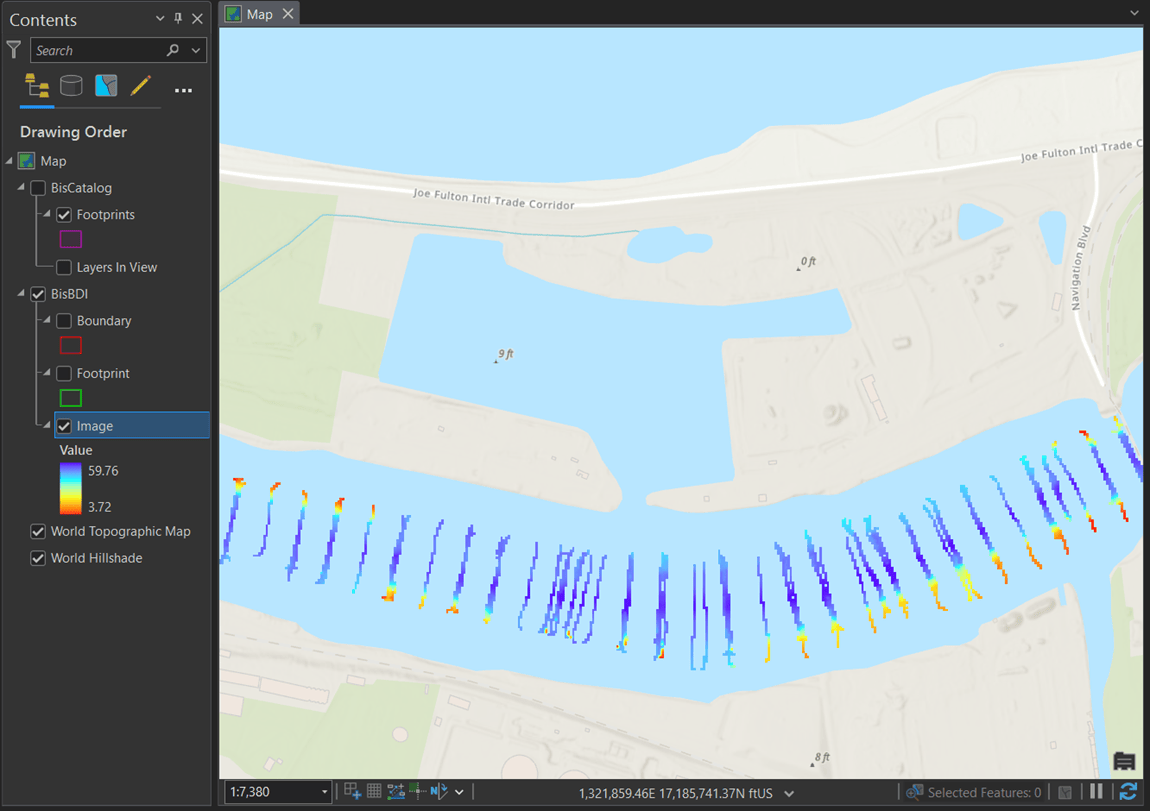 Point data in the BisBDI mosaic dataset visualized on the map