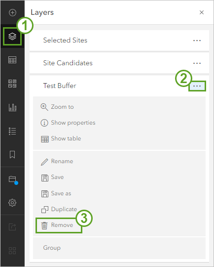 Remove option for web map layer