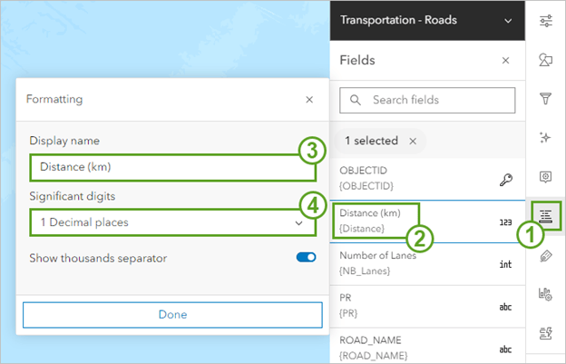 Field Formatting options