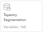 Tapestry Segmentation dataset Tapestry Segmentation dataset
