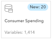 Consumer Spending dataset Consumer Spending dataset