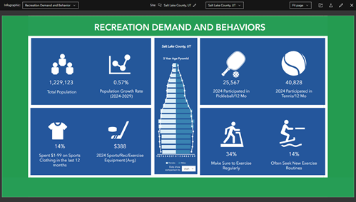 The custom infographic generates. The custom infographic generates.