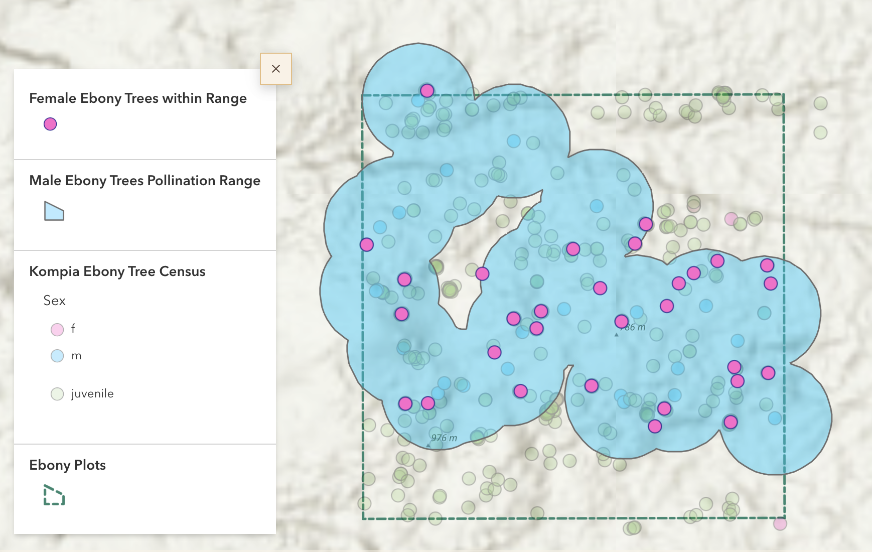 A screenshot of a map depicting one plot of ebony trees, showing the pollination range of the trees and which trees are male and female. A screenshot of a map depicting one plot of ebony trees, showing the pollination range of the trees and which trees are male and female.