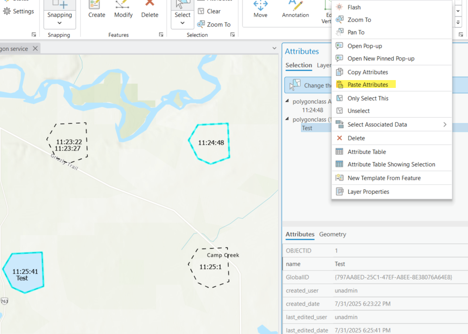 The Paste Attributes option in the Attributes pane