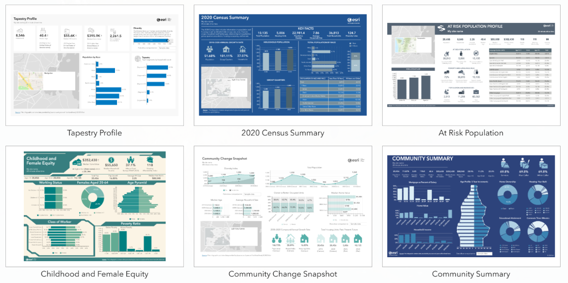 Infographics in Business Analyst Pro