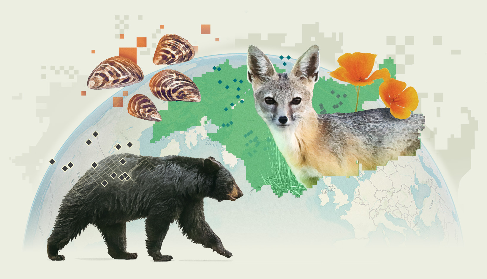 GBIF StoryMap cover link.