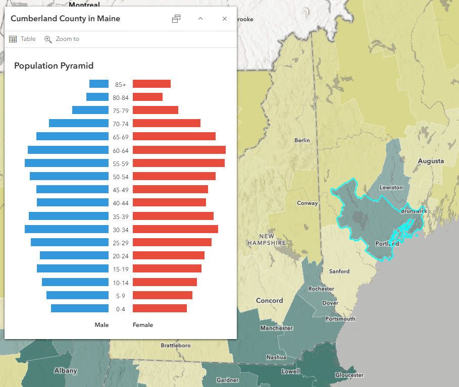 Cumberland County, ME is very light green in the map, depicting slightly more urban than rural population. The population pyramid toward the younger ages at the bottom has an inverted triangle shape.