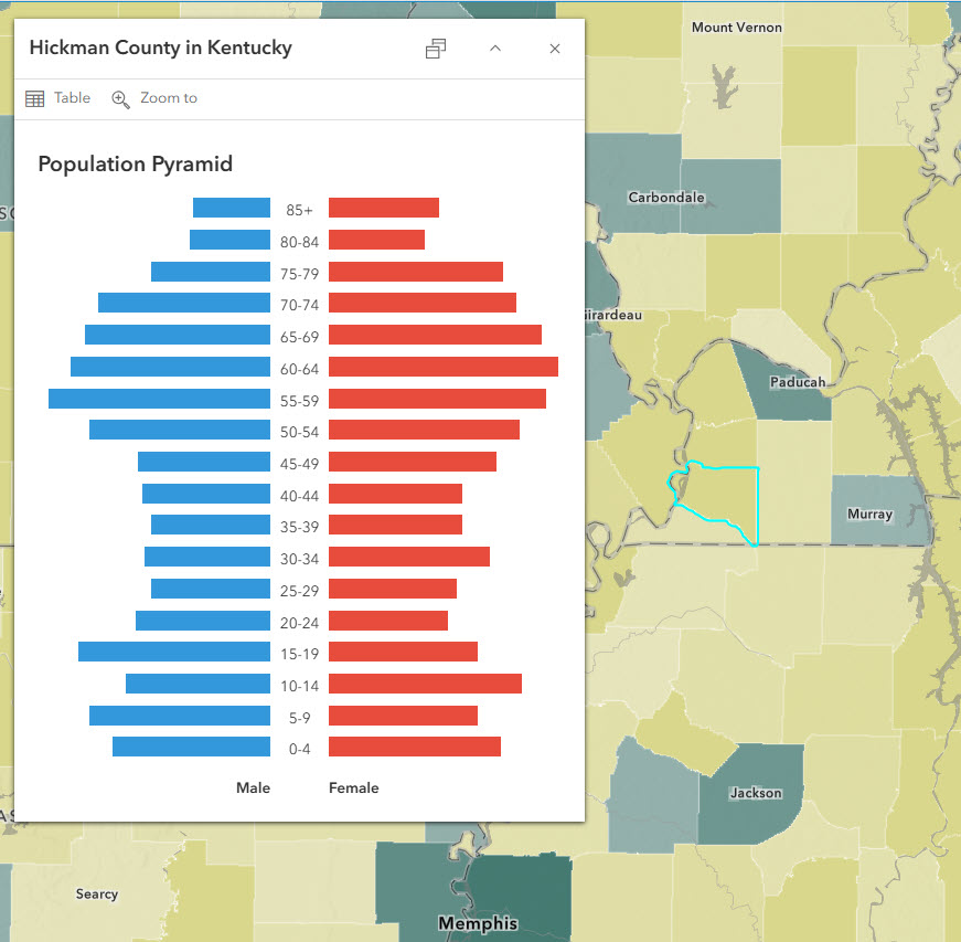 Hickman County, KY is yellow in the map, meaning it has a rural population. The population pyramid is roughly hourglass-shaped, meaning it has large bars in the children and teens age groups, and large bars in the 60+ age groups, but small bars in the 20-59 age groups.