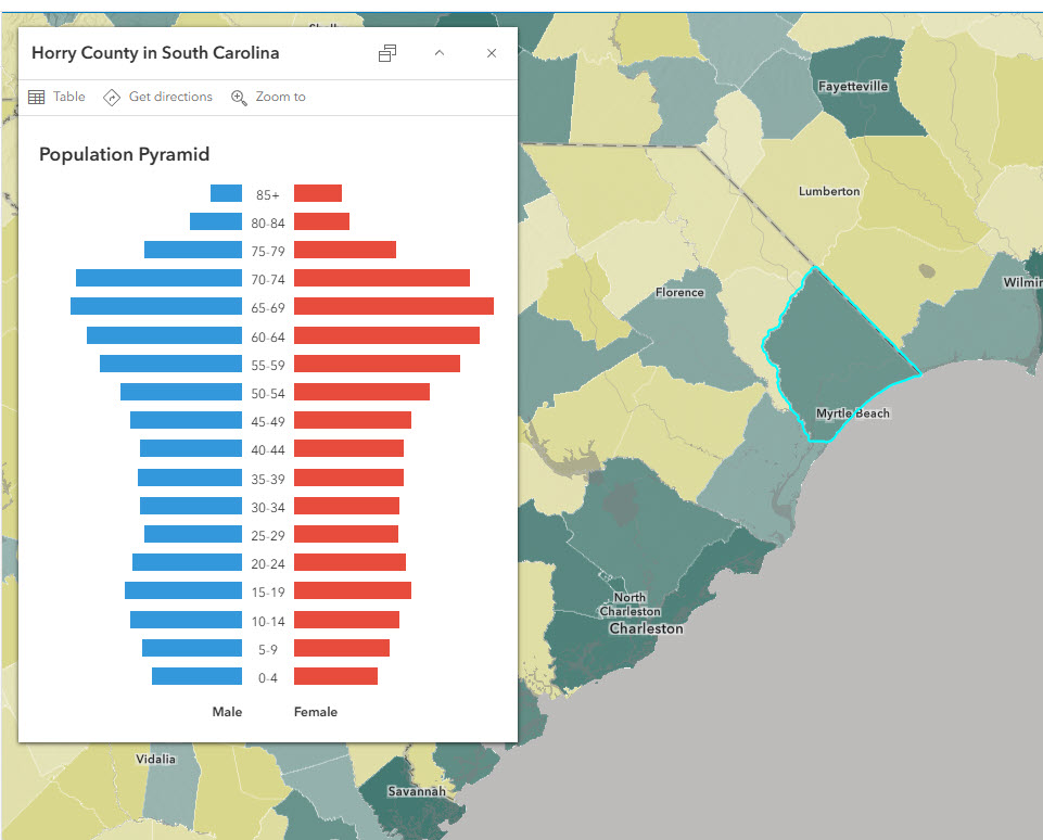 Horry County, SC is green in the map, meaning it has an urban population. The population pyramid has very large bars starting in the 55-59 age group.