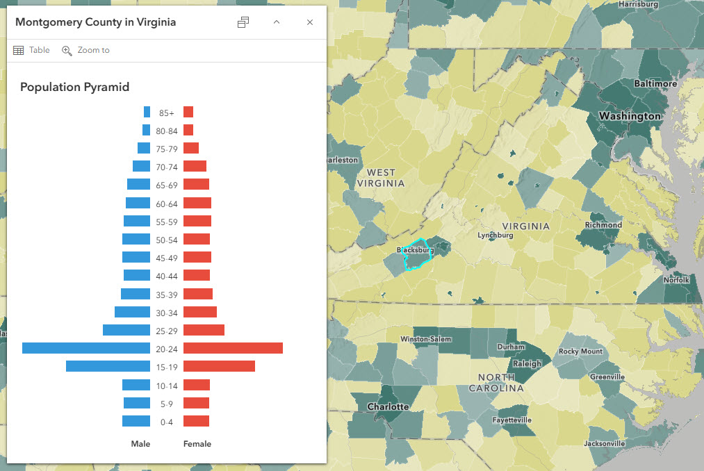 Montgomery County, VA is light green in the map, denoting a slightly more urban than rural population. The population pyramid has very large bars for both sex groups in ages 15-19 and 20-24.