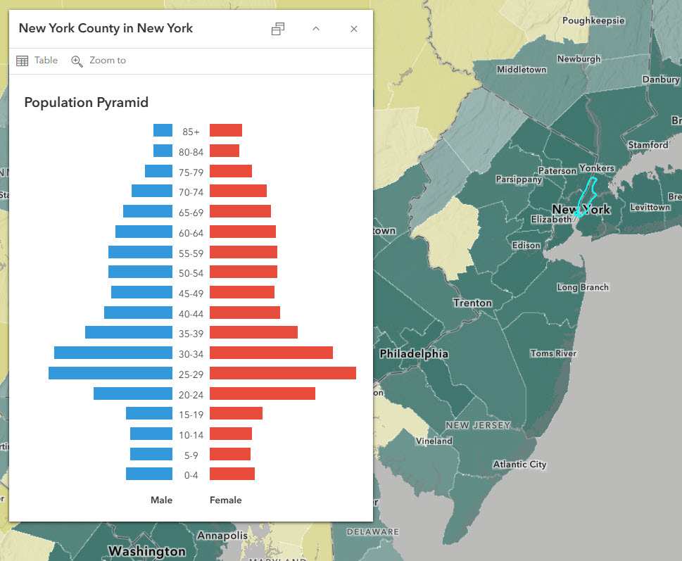 New York County, NY is deep green in the map due to its urban population. The population pyramid has very large bars starting in age groups 20-24 through 35-40.