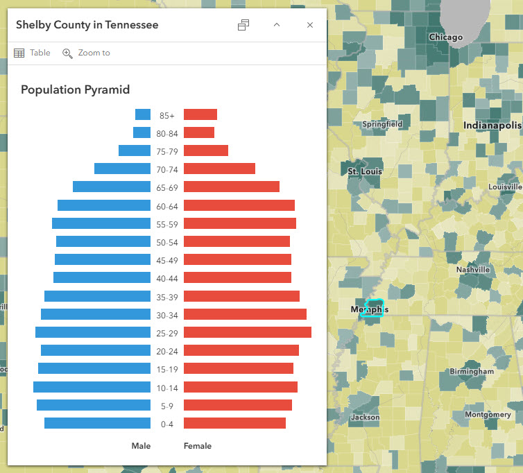 Shelby County, TN is also green in the map, depicting an urban setting. The population pyramid has relatively similar bars for all age groups except at the very oldest groups, starting around age 70 (very top groups in the chart). The bar for age 85+ for females is about double the size of the 85+ bar for males.
