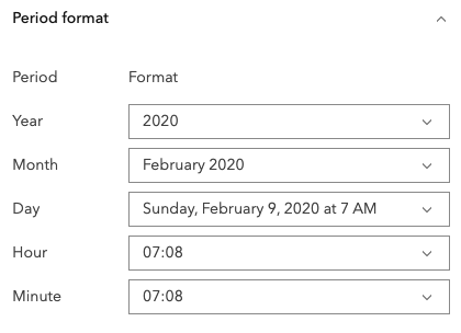 A feature in ArcGIS Dashboard's Serial chart configuration with editable date/time formats, where defaults are based on locale