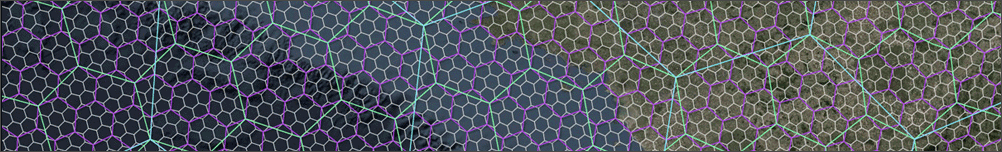 Global biodiversity and conservation hexagons