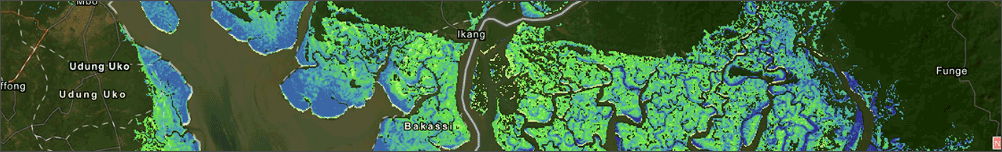 NASA global mangroves