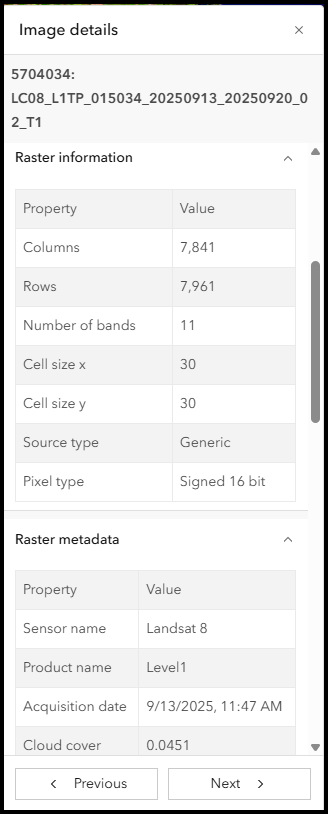 Image details from Image Collection Explorer