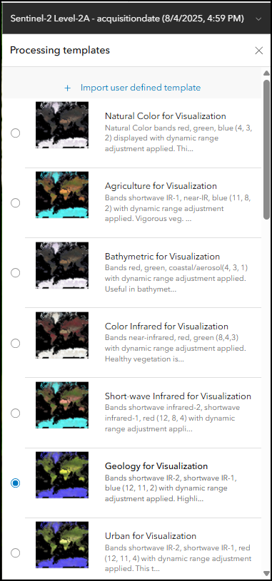 Processing template options