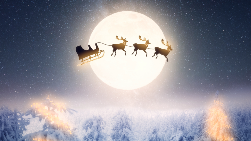 A More Seamless Path for Deliveries this Holiday Season