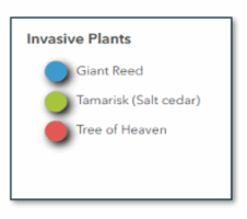 Unique symbols display in the legend
