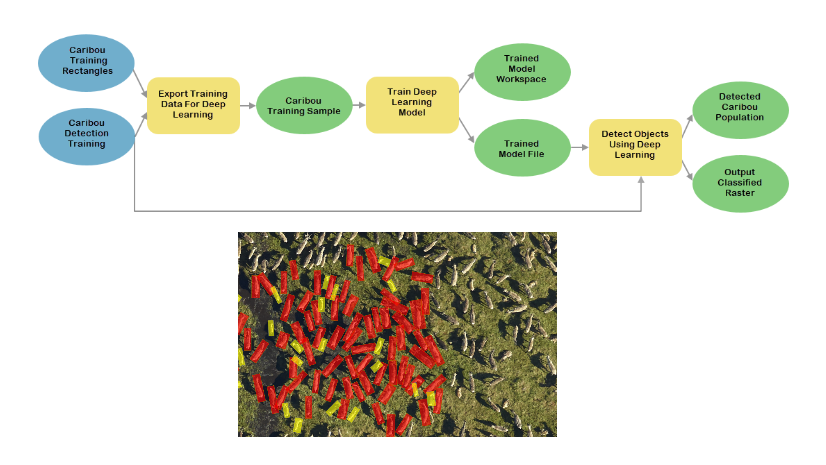 Detecting Caribou Population in Alaska using AI: Deep Learning and Tool Suggestions in ModelBuilder