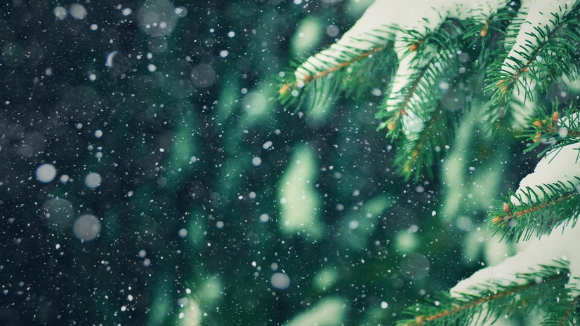 Spatial Analyst 2025: Year In Review