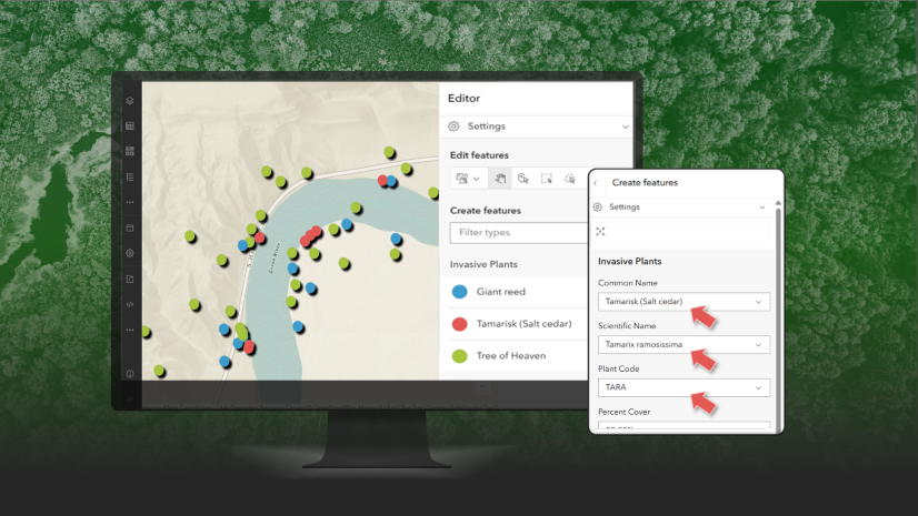 Templates, Default Values, and Faster Editing, Oh My!