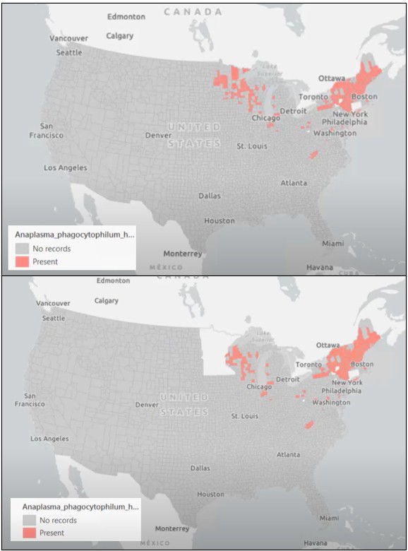 map of anaplasmosis presence in counties for the entire continental US, and the same map with Minnesota removed