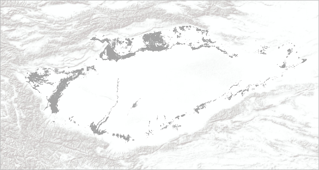 The Terrain basemap with the vegetation layer