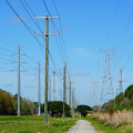 Rows of power lines towering above grass, brush, and trees