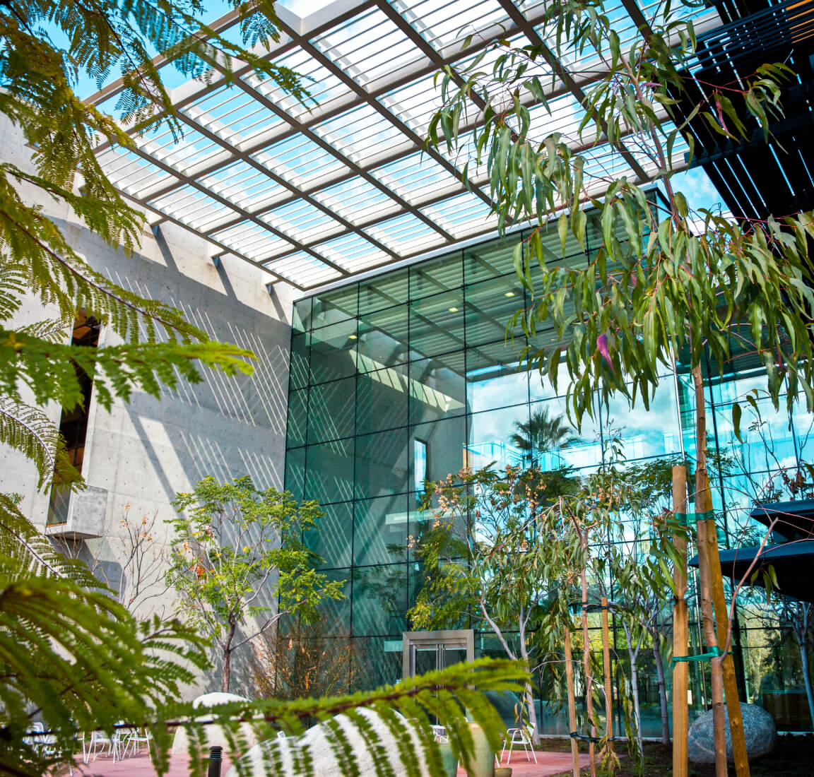 A shady patio beside a modern concrete and glass office building filled with bright green trees