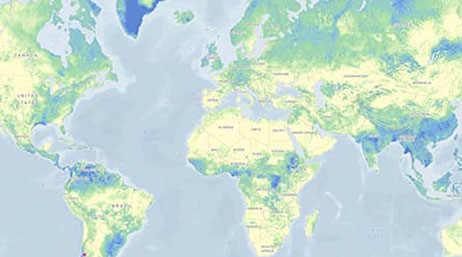 A blue, green, and yellow map of the world with a light grey background