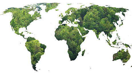 A map of the continents overlaid with trees