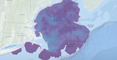 Map of the coastline from New Your state to Connecticut with blue and purple indicating waters where fish species are found