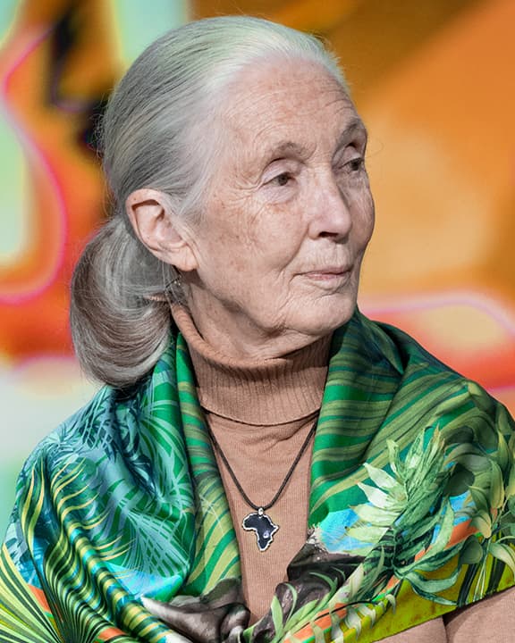 Portrait of primatologist and anthropologist Jane Goodall wearing a white shawl and green sweater, and orange abstract designs.